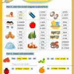 singular and plural (3)